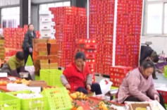 新规实施！如何为食品直播带货拧紧“安全阀”？专家解读