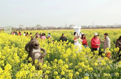 三十而立·岁与君和㉔ | 从“黄土漫天”到“城乡共融”：君山乡村变迁记