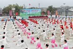 千人太极汇演  屈原管理区以“武”会友  庆“国际太极拳日”