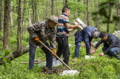 天天学习｜我们每个人都是乘凉者，但更要做种树者