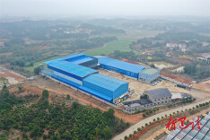 早稻育秧忙 科技赋能赶“春光”