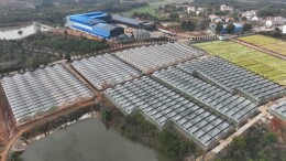 种粮大户的“新农经”