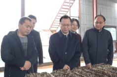 周振宇调研春耕备耕和防汛安全工作