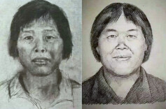 “梅姨案”时间线｜追踪23年，“隐身”人贩终现形