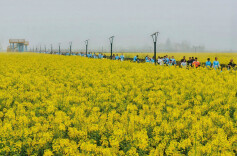 场地更近，赛事更火，指导更准——数读2025全民健身高质量发展