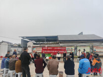 春分遇上二月二龙抬头，会龙山街道永乐村组织的活动走实又走心