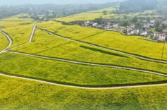 抓好春耕生产，总书记念兹在兹