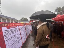 从展位到车间！汨罗神鼎山镇“春风行动”招聘会开启“实地探岗”新模式