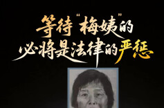 “梅姨”归案，“拐途”末路
