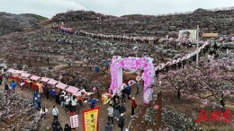 江永桃花节引来八方游客