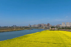 人民日报“读者点题”：如何理解“投资于物和投资于人紧密结合”