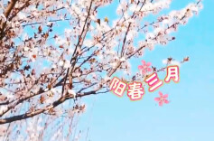 乐享春光时，请不要忽略这些消防安全隐患