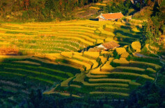 去年粮食总产、单产增幅均居全省前列 娄底粮食生产量质齐升