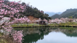 花花世界 | 接下来，双牌的春天是这样的！