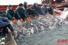 大湖健康产业股份有限公司董事长罗订坤：“创二代”蹚出二次创业路