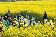 花粉季鼻炎高发 专家提醒：勿将过敏误当感冒