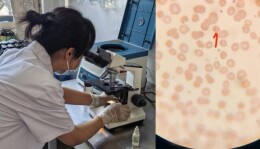 初抵西非遇急症，湖南援塞医疗队14天全力施救显担当