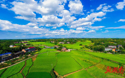 雁城札记丨武水潺潺，我一生的心跳 