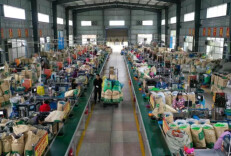 营商环境怎么优？湖南找准“靶心”精准“开枪”