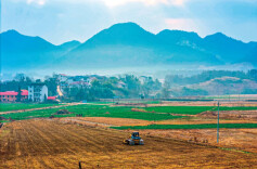 理直气壮为实干者撑腰丨评论