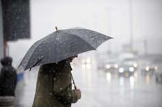 这都7天没见过太阳了，月底前的三轮降水还能撤回吗？