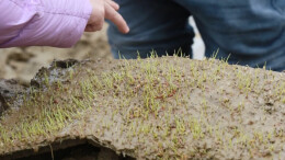 汉寿：阴雨连绵“考”春耕，农技下乡“护”秧苗