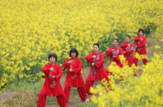 Inaugural International Taijiquan Day Marked Across Hunan