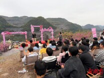 江永：桃林结良缘 新风润心田