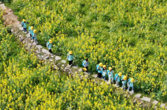 中小学春假，多地跟进！