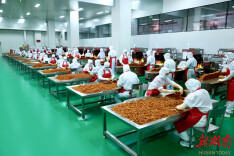 湖南平江引资推介激活千亿产业链