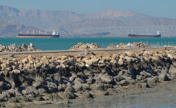 伊朗否认向霍尔木兹海峡过往船只收取高额费用