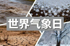 @所有人，这份气象灾害应急指南请收好！