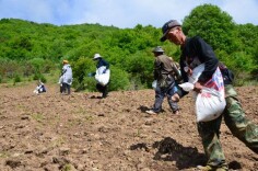 理论·新论 | 构建闲置耕地复耕长效机制 服务现代农业产业体系建设