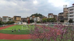 图片新闻：新田桃花开放校园美