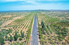 侃财邦｜从蓝莓“跳水”看西瓜走势