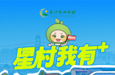 认养一亩田、一棵树、一口塘……长沙“星村我有+”解锁乡村生活新玩法