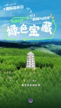 国际森林日：绿色宝藏