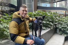 “手搓”疫苗火了，AI是否会颠覆制药产业？专家回应→