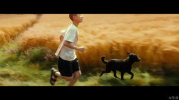《狗事》：男孩与流浪狗的幻梦|第四届湖南省微电影大赛技术创新奖