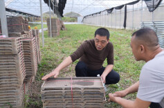 临武县：早稻育秧正当时，技术指导助春耕
