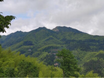 剪刀开合间，红纸飞春秋