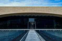 潮头观澜丨千年大计 拔节生长