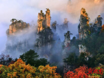 美文欣赏丨武陵源记