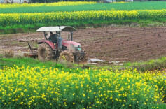 Farmers Busy with Spring Ploughing Across Hunan