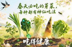 春天必吃的芽菜，每种都有神仙吃法