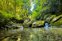 为生态交易安上“保险阀”！麻阳创新落地“水生态守护保”