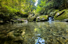 为生态交易安上“保险阀”！麻阳创新落地“水生态守护保”