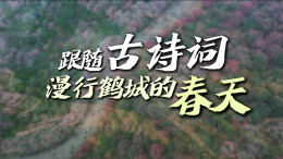 跟随古诗词，漫行鹤城的春天