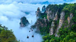 春分时节武陵源：三千奇峰披新绿，人间仙境入画来