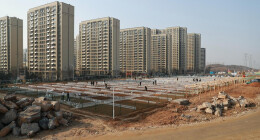 “春日经济”下，“共享菜园”为啥火了？